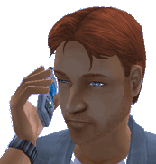 Les Dossiers du Daily Sims