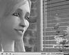Daily Sims